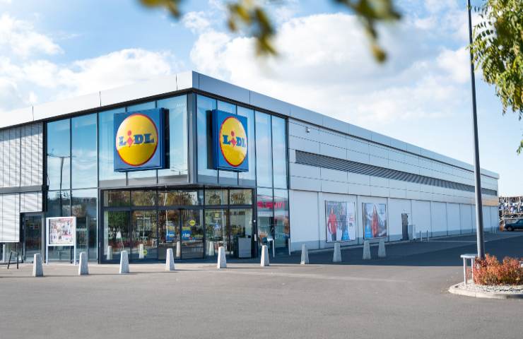 Lidl prodotti cani