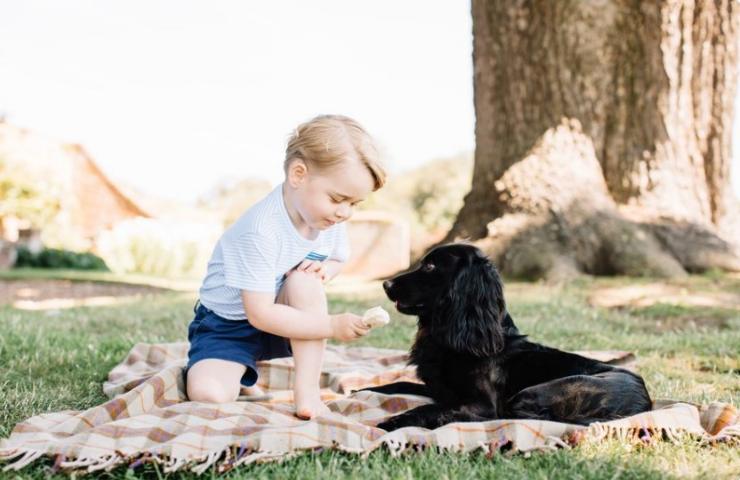 George fa assaggiare il gelato al suo cane