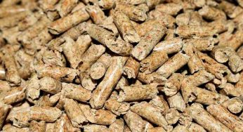 Stufe a pellet: perché non sono ecologiche come dicono