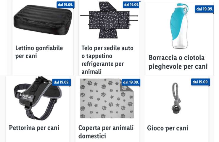 Lidl prodotti cani