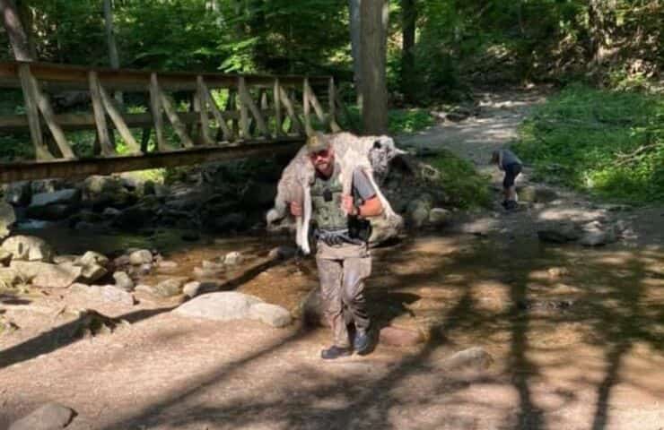 Ranger salva il cane 