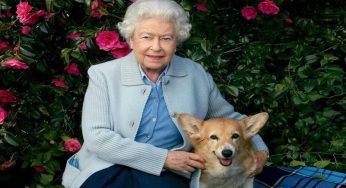 Sapete la regina Elisabetta cosa faceva mangiare ai suoi cani?