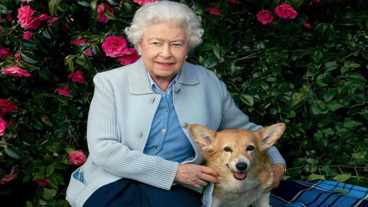 Dove la regina Elisabetta faceva dormire i suoi cani