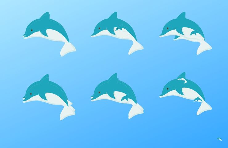 Test quanti delfini ci sono nell'immagine
