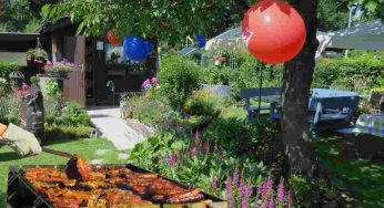 Festa in giardino, come preparare dei fiori in carta