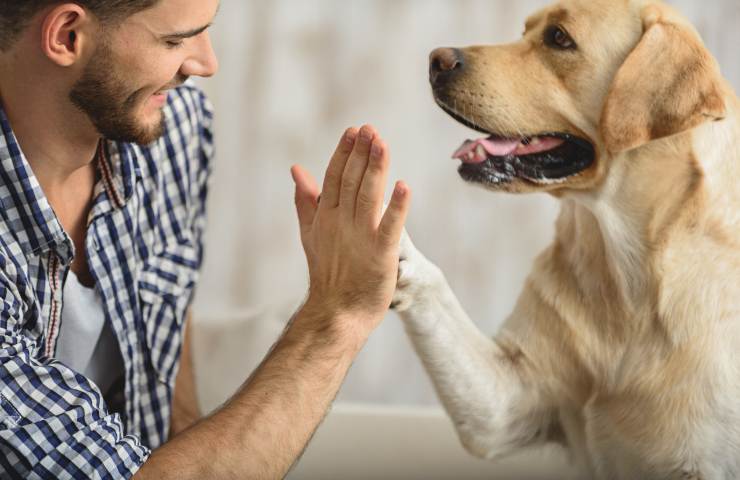 come farsi seppellire con il proprio cane