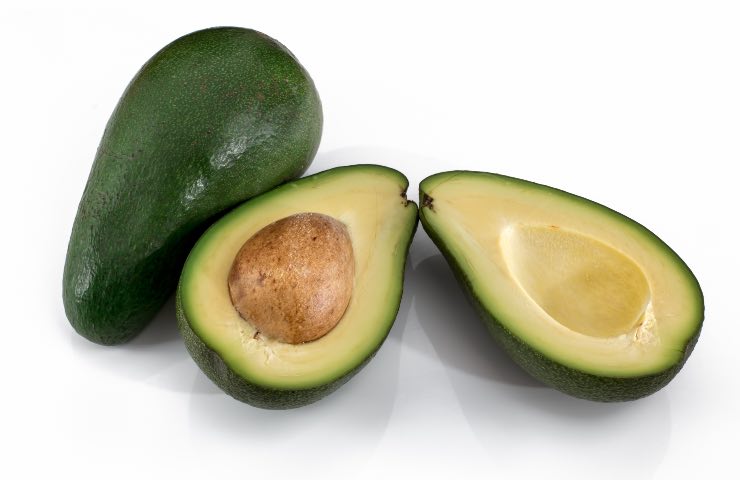 avocado fertilizzante