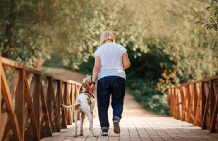 del cane e del suo padrone