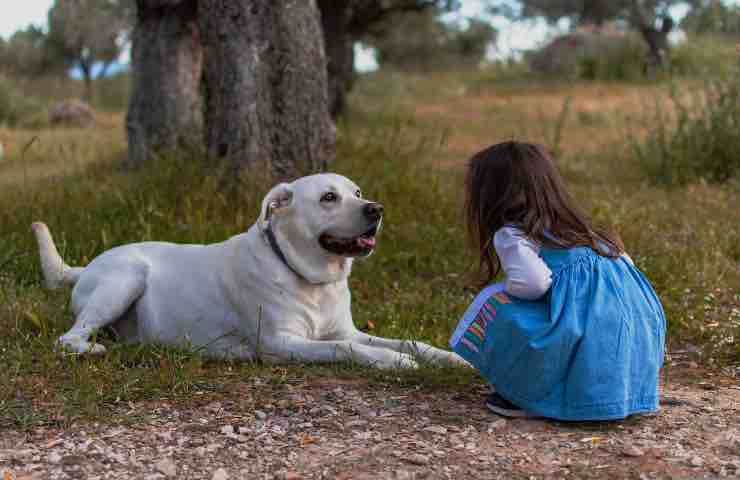 insegnare Bambini non avere paura cani