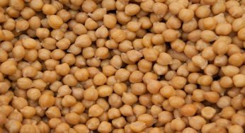 Ceci: in questo modo si conservano meglio