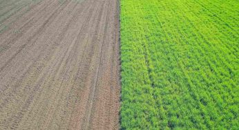 Cibo rigenerativo, futuro sostenibile o greenwashing?