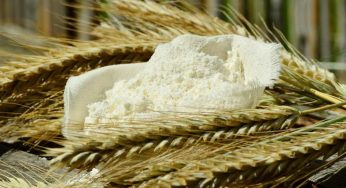 Farina cruda: perché può essere un pericolo in casa