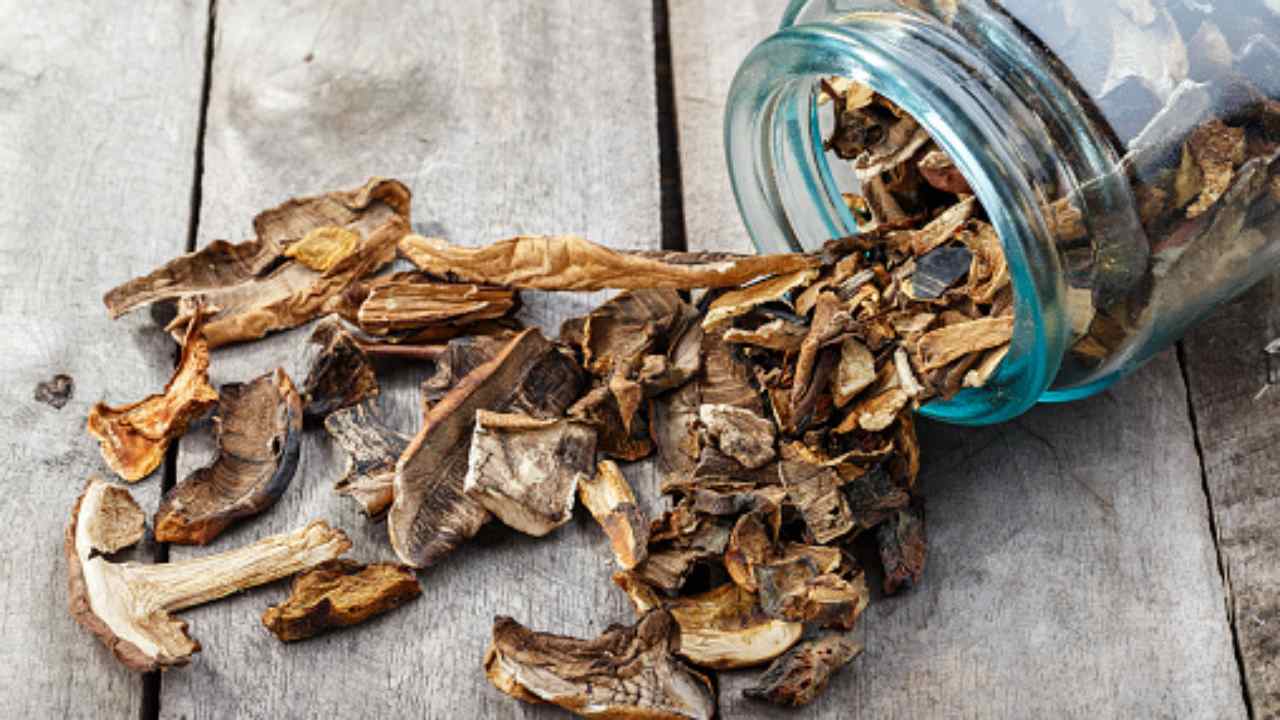 Perché è conveniente essiccare i funghi porcini