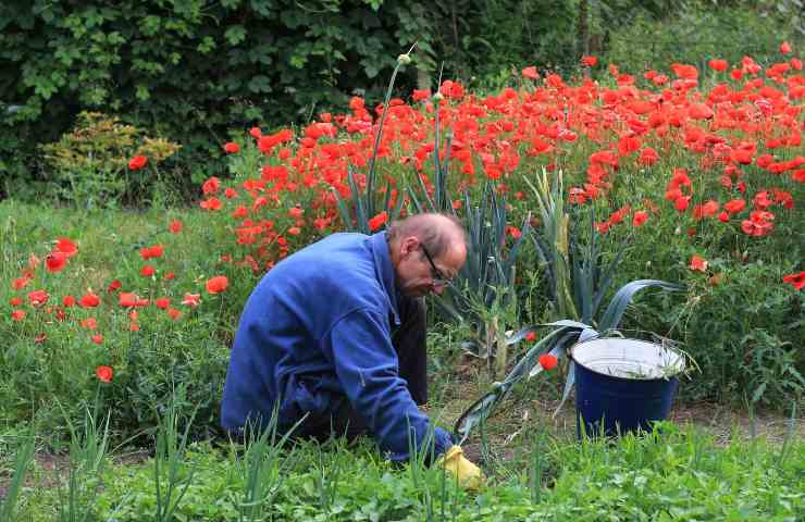 lavori da fare a ottobre in giardino