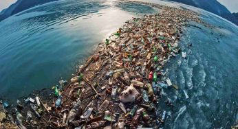 Isola di plastica, la colpa è della pesca ed acquacoltura: lo dimostra uno studio