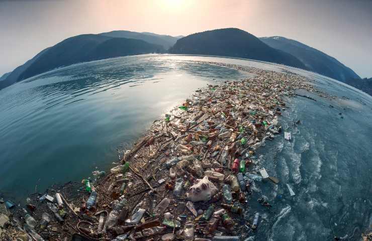 isola di plastica colpa pesca