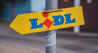 Lidl vende queste cannucce a 2.99€: perché sono speciali