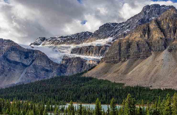 canada scoperta coda dinosauro roccia