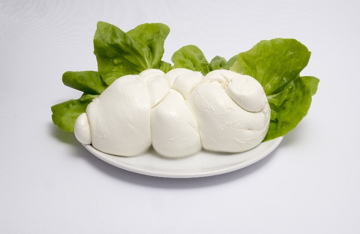 mozzarella dieta