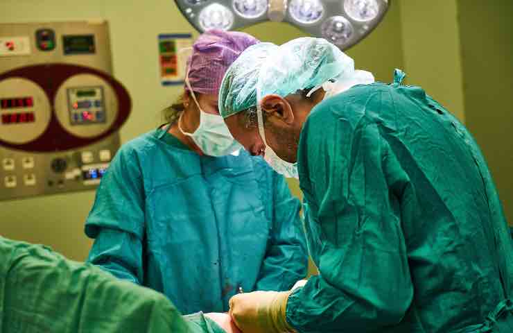 sesso con il cane ospedale infezione