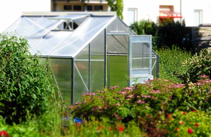 con queste proteggi le piante del giardino dall'inverno