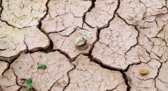 Siccità, cosa è riemerso da un lago prosciugato vicino Torino