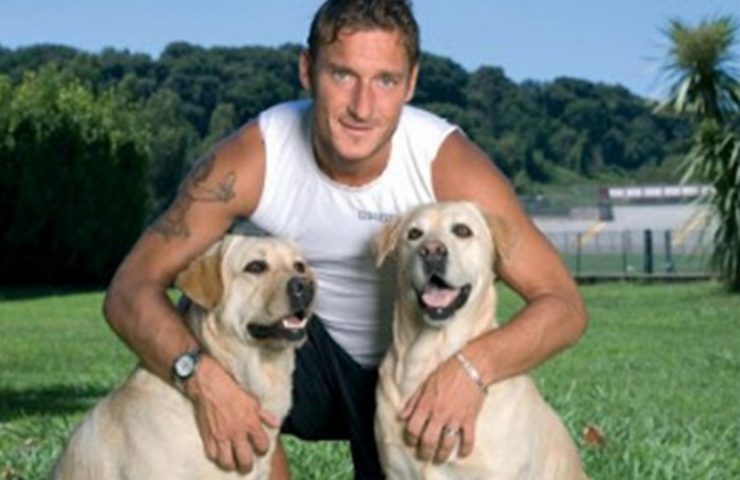 totti vittima truffa dei cani