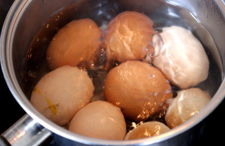 rotten eggs how to figure it out