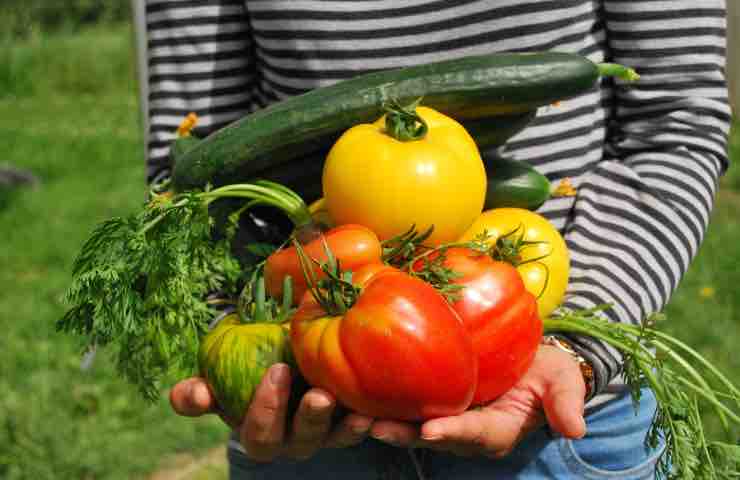 alimenti non vanno mangiati crudi