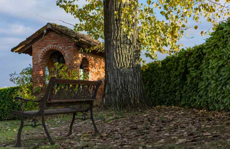 distanza alberi da confine con il vicino