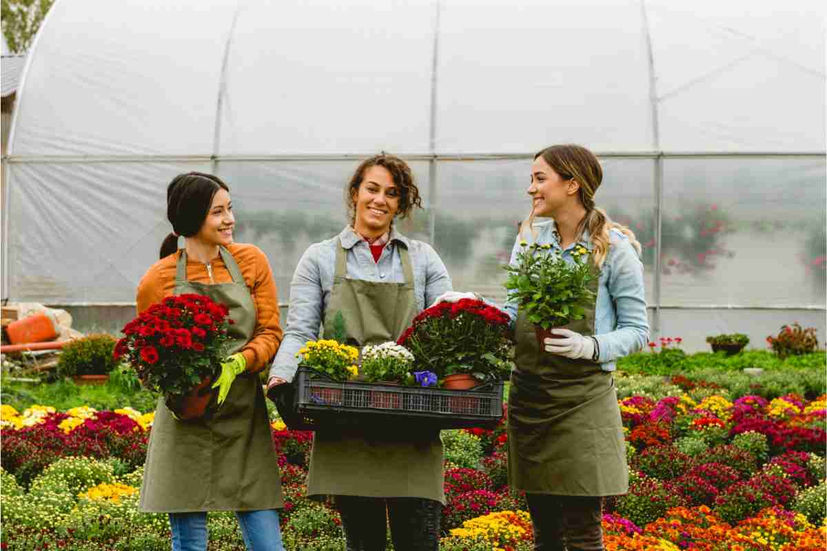 Come proteggere le piante per l'inverno