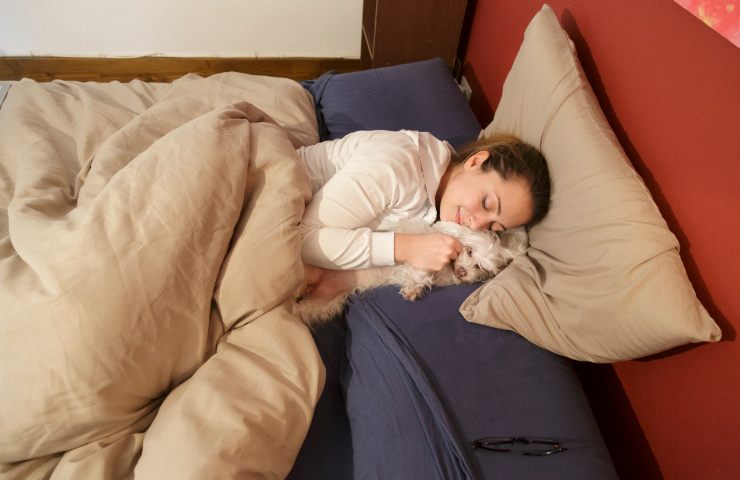 cosa fare chi dorme con il cane