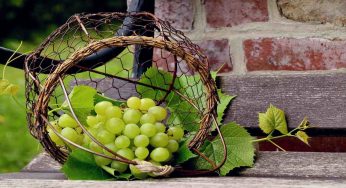 Uva, come togliere i pesticidi: sciacquarla non basta