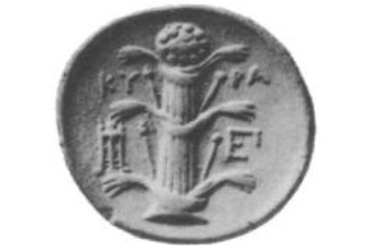 Il silfio rappresentato in una moneta antica