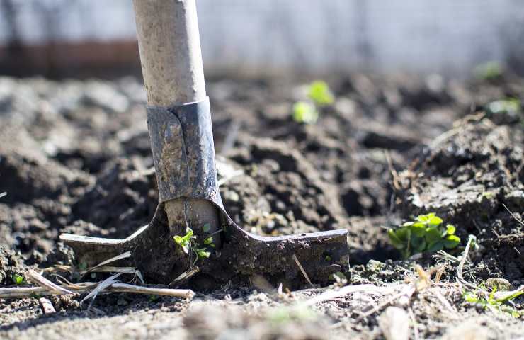 operazione da svolgere nell'orto