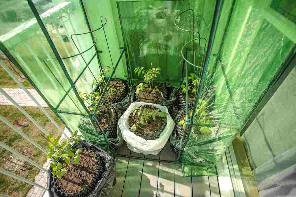 Proteggere piante sul balcone in inverno