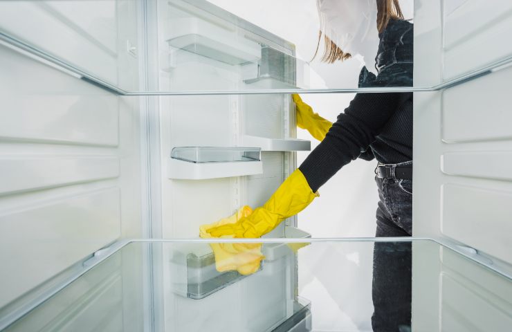 come pulire il freezer