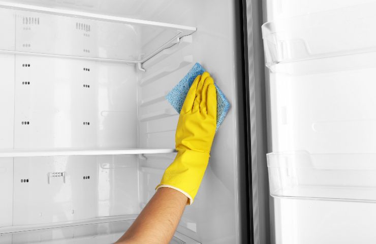 perché pulire frigorifero con prodotti naturali
