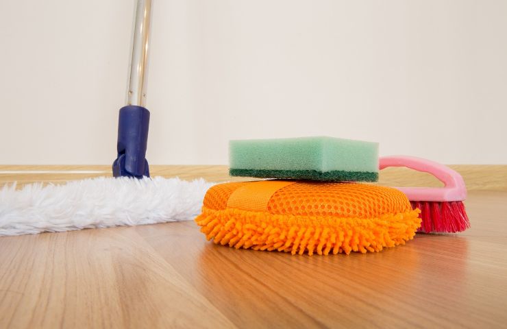 pulire casa dai cattivi odori dei cani