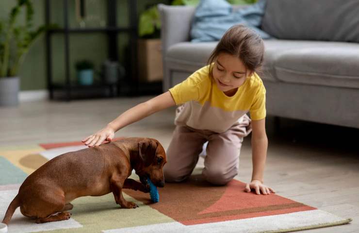 Un cucciolo ed una bimba che giocano insieme in un salotto