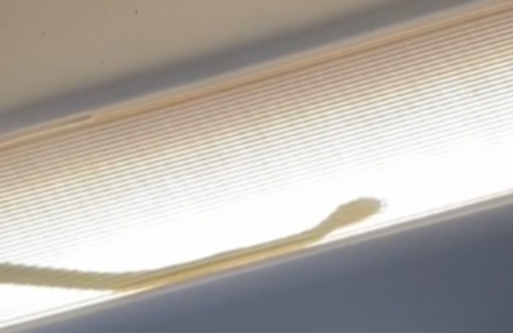 Un serpente in una lampada di un aereo