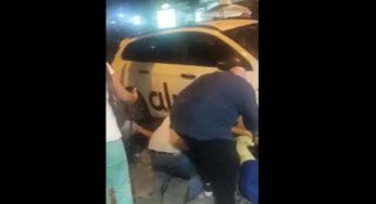 Salvato sotto un’auto: non era né un cane né un gatto | Video