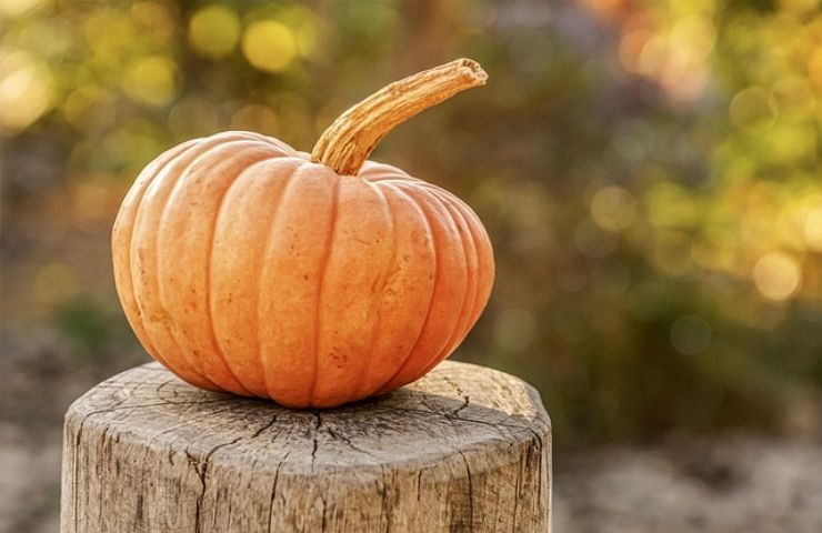 trucco dei tre minuti per tagliare la zucca