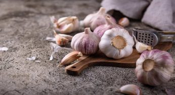 Ortaggi da bulbo: con questo puoi salvare la rosa