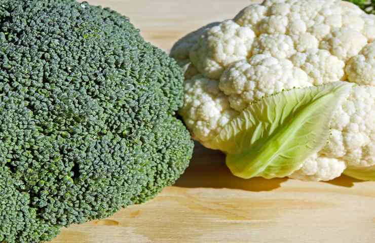 questa verdura aiuta il sistema immunitario