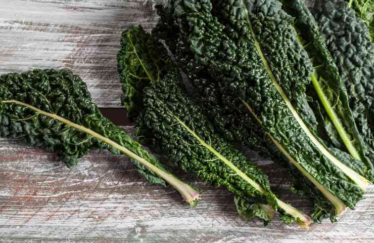 verdura invernale che aiuta sistema immunitario