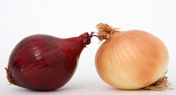 Non tutti conoscono questo gemello della cipolla: cos’è