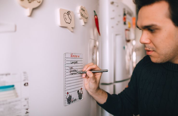 Calamite sul frigo, perché dovresti toglierle da lì: i danni sono  irreparabili