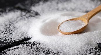Sai cos’è la cottura al sale per carne e pesce?