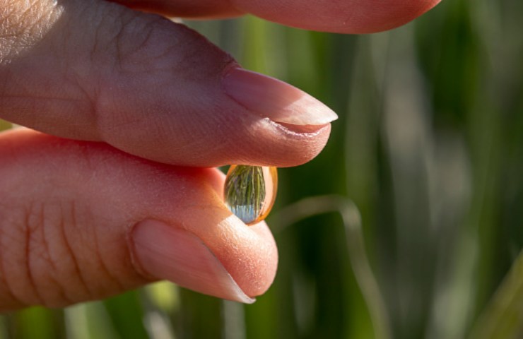 vitamina D carenza insufficienza cause e conseguenze